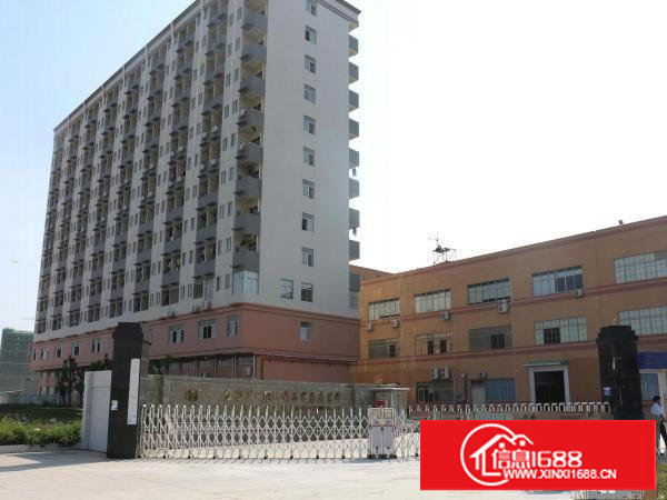 业主直租，长安沙头村13857平米大型工业园厂房低价分租