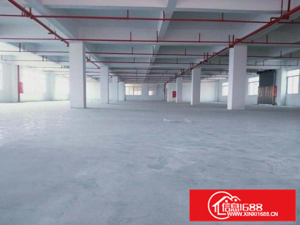 勒流标准1500方厂房出租，带消防喷淋，有房产证
