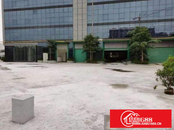 松山湖大朗华为附近独门独院20000平米高薪产业园厂房出租