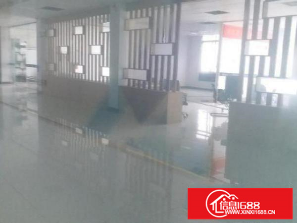 金沙瞧金北路东联标准厂房出租