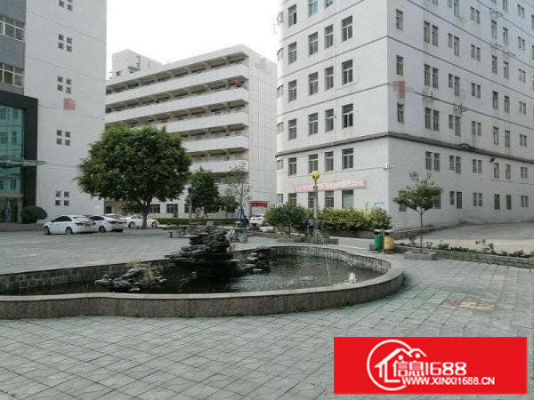 新出原房东厂房一栋5层单层1500平可整可分租