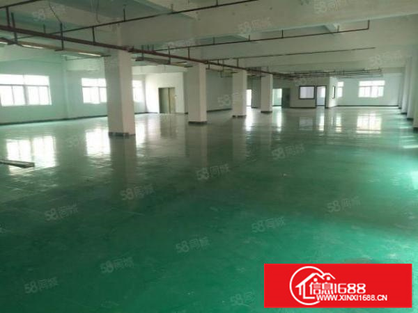 有证，可办环评，均安独院3600方带办公装修厂房，形象好！