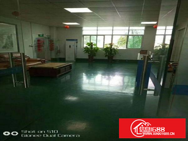 坪山新出1200平带装修厂房