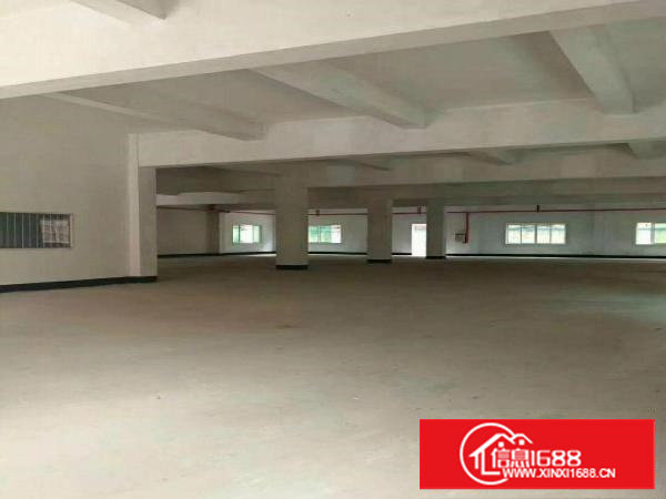 塘厦新出原房东全新标准厂房二楼整层882平方招租