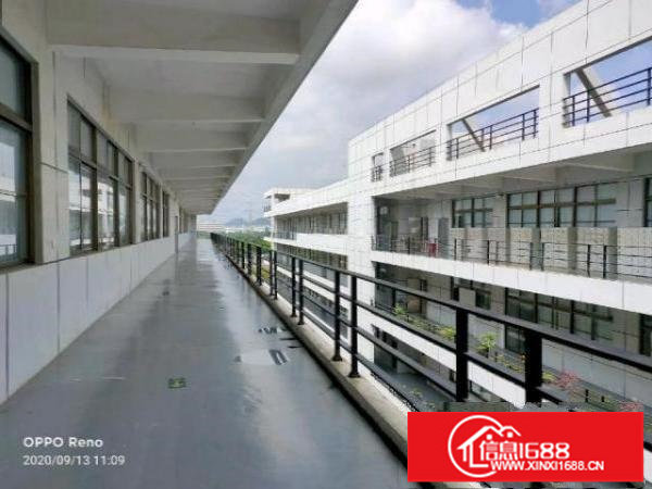 坪山大型高新科技园整层5200平米出租有红本