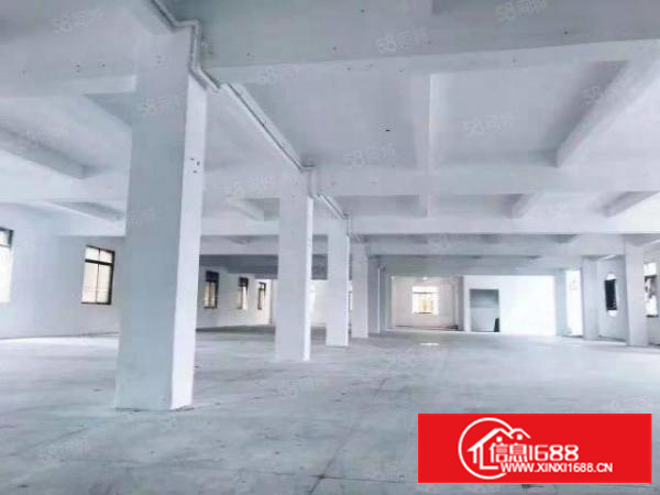 石排独门独院标准厂房2500方证件齐全带设备配宿舍办公楼