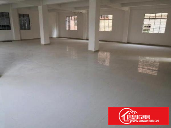 新建厂房，环城路及高速出入口附近，交通便利