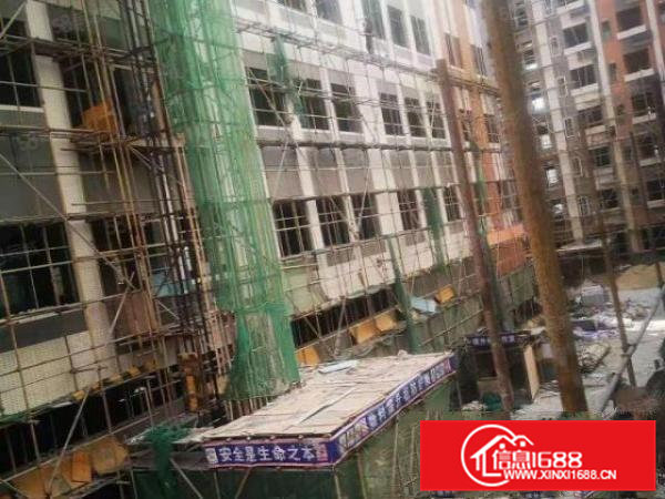 桥头新出原房东独门独院带红本工业用地标准全新厂房