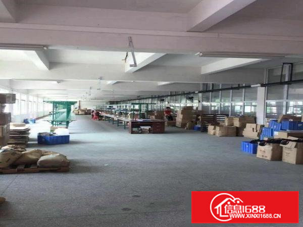 常平独院厂房出租厂房6200宿舍1200招租