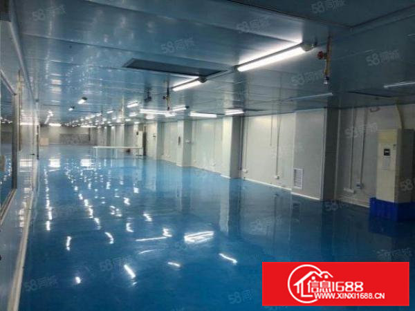 寮步镇新出十万级无尘车间，工业园大气漂亮，无转让费