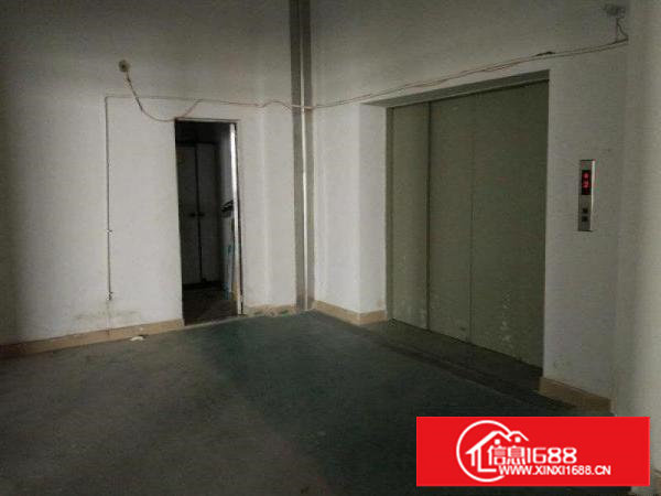 沙头全新1600平厂房招租150平起分带货梯