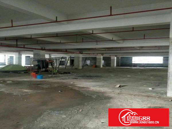 沙湖独栋新建重工业厂房招租！整层覆盖消防喷淋！