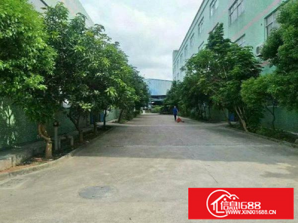 大亚湾4300平钢构厂房滴水7.5米带卸货平台