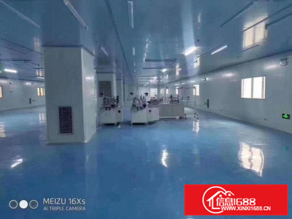 独门独院标准厂房现成无尘车间豪华装修办公室租金便宜厂房出租