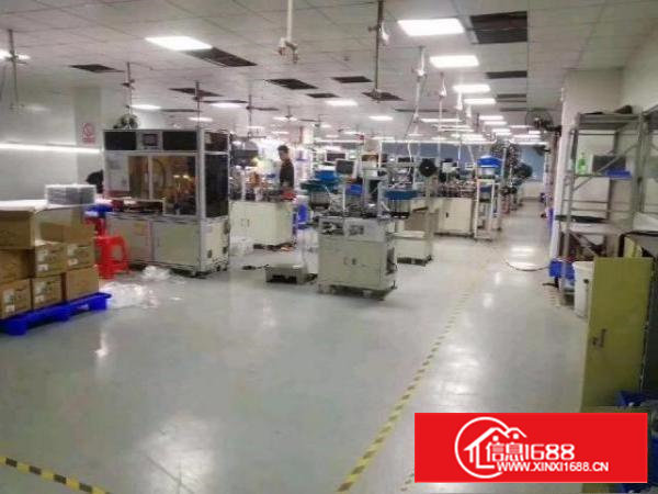 宝安周边东莞长安沙头2300平带精装修工业厂房招租