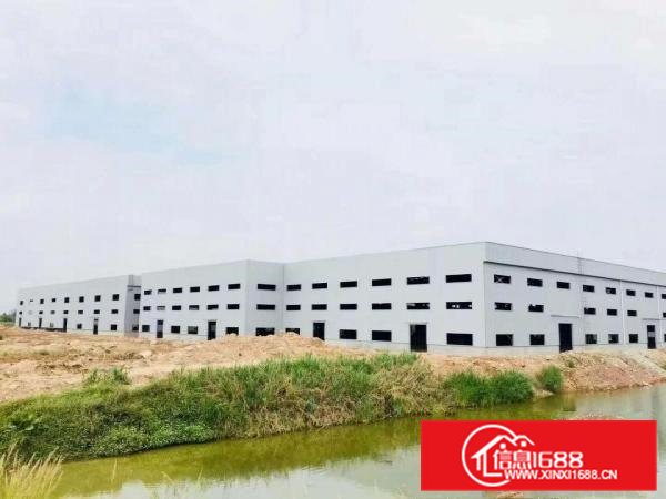 桥头山和全新钢构厂房厂房54270平米出租