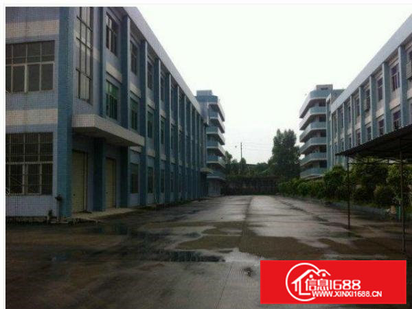 桥头禾坑现有厂房一楼1200平方急租