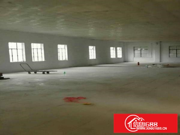 高埗厂房出租单一层独院厂房4200平全新装修