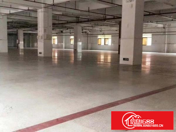 工业厂房一楼1000平，带装修环境超好，高6米原房东出租