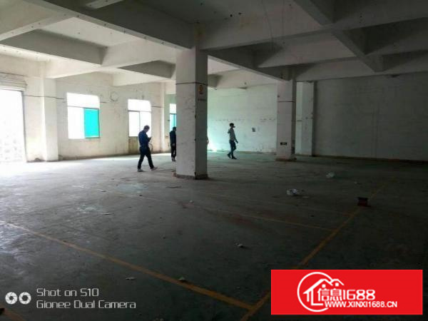 龙岗南联一二楼各550平米出租
