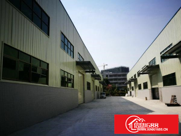 横沥长巷单一层钢构厂房950平水电齐全交通方便