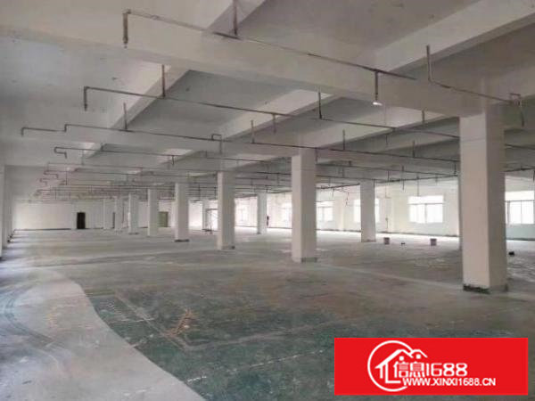 标准实际面积出租，有红本原房东。