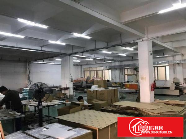 虎门镇新出原房东厂房实际面积16元一平米速抢，速抢