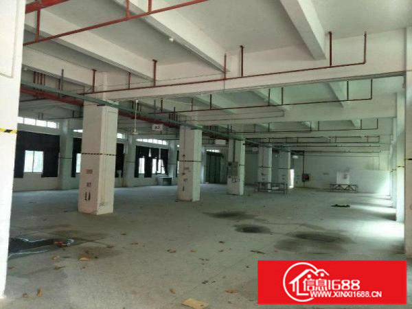 坪山大工业区独栋标准厂房60000平方带装修出租