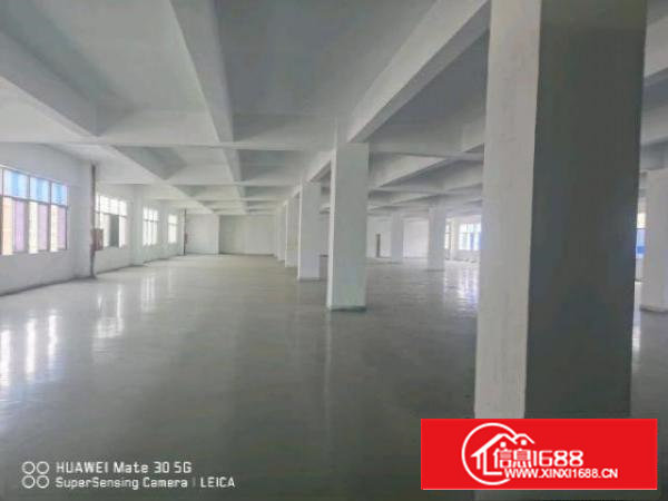 沙井大王山附近，全新地坪漆天花吊顶，随时看房