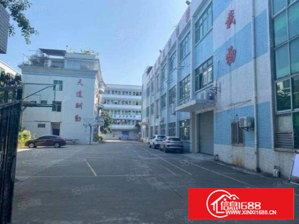 塘厦一手房东厂房独院出租水电线路齐全空地大周边人气旺