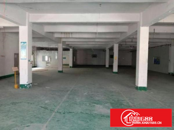 万江独院标准厂房一楼1500平方精装办公室出租层高5米空地大