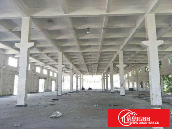 （急租）龙岗龙城广场地铁附近一楼厂房750平米招商