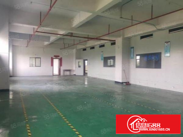 茶山原房东独门独院3层厂房价格实惠形象好空地大交通方便