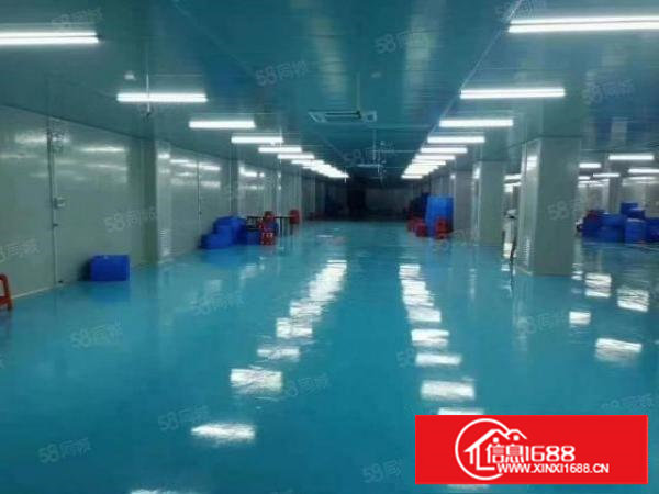 樟木头高速口全新地坪漆重工业2000平厂房分租，空地大花园式