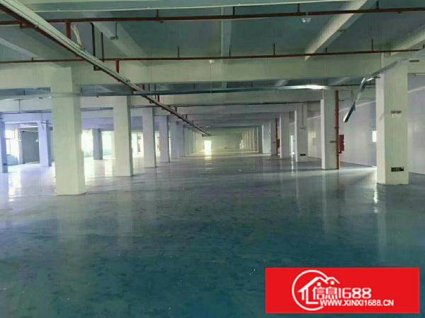 平湖上木古带装修二楼1800平方厂房出租