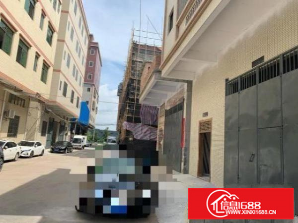 房东放租，全新厂房，配套齐全