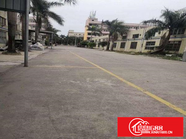 工业区600平米钢构厂房可分租