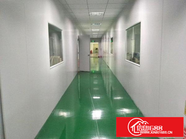 龙岗爱联地铁口原房东厂房出租1205平米带豪华装修