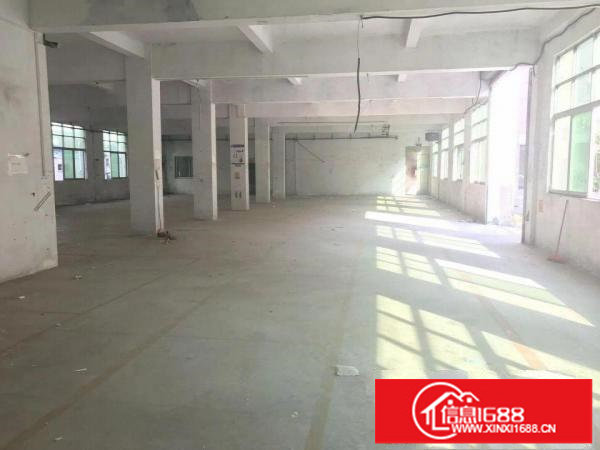 坪山碧岭经典小独院独院4000平现成水电出租