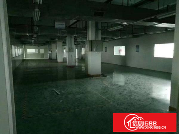 惠阳秋长50000平红本钢构厂房出租