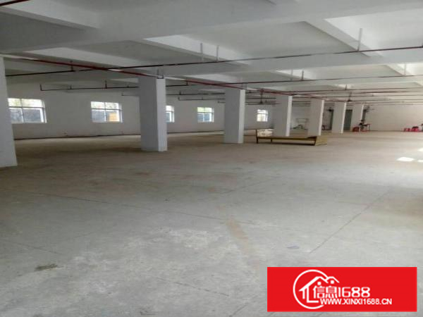 《惠》惠州大亚湾附近有大量大小厂房出租免中介费