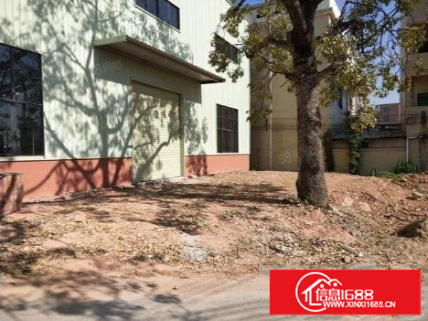 谢岗9米高钢构全新独院厂房1350平方出租