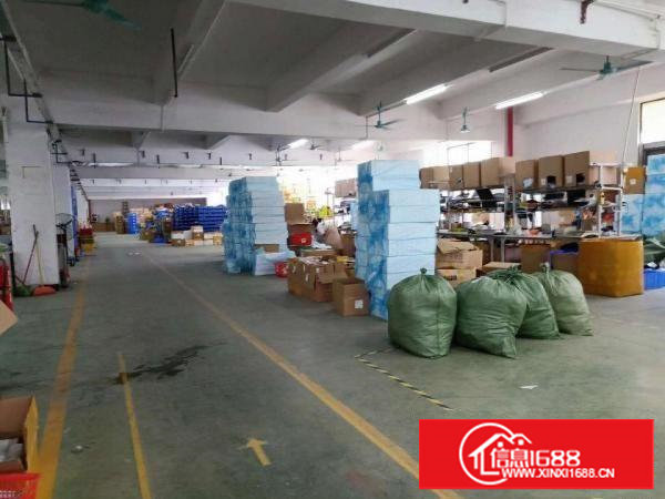 塘厦振兴围新出一楼1050平（原房东直租，还是两年前价格）