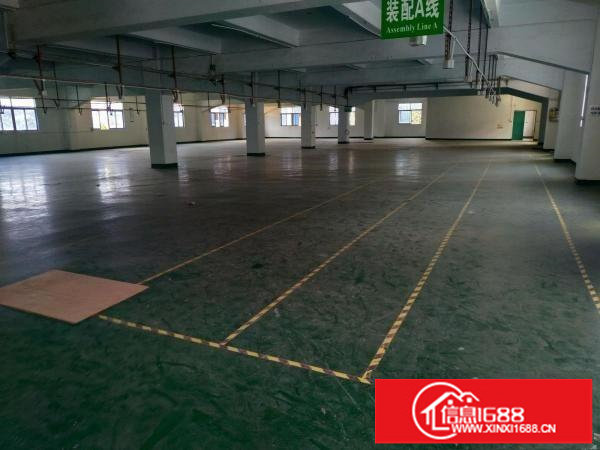 李松朗新出楼上1000平厂房