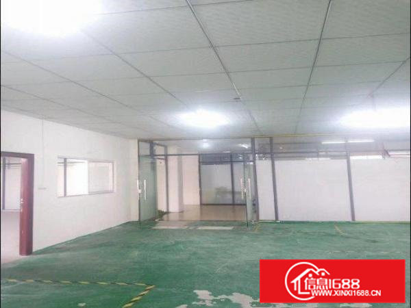 隔坑新空厂房楼上550平方精装修秒杀适合电子贸易
