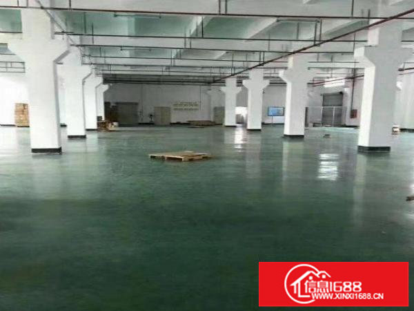 坂田原房东地铁口附新出2万平米花园式厂房出租