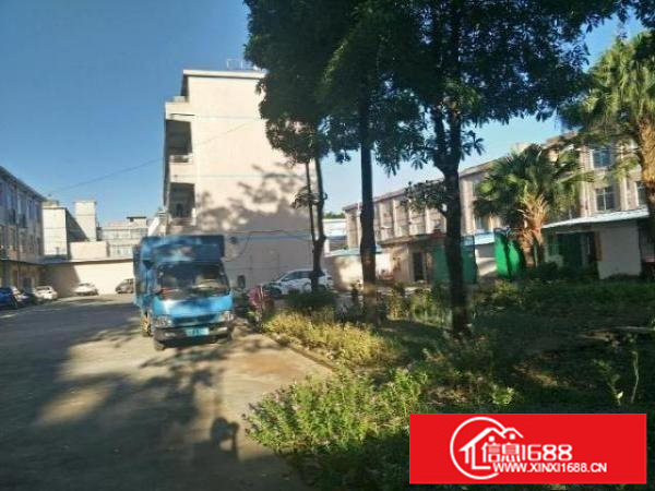 坪山六联社区一楼原房东实际面积出租厂房750平