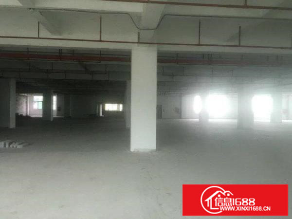 福永4楼2750平，层高4M，大车进出方便，带货梯