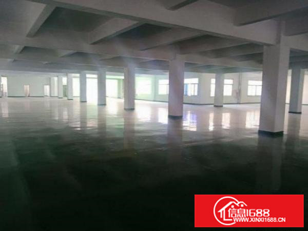 可做电池厂房仓库出租关系到位410平起1000平2000平