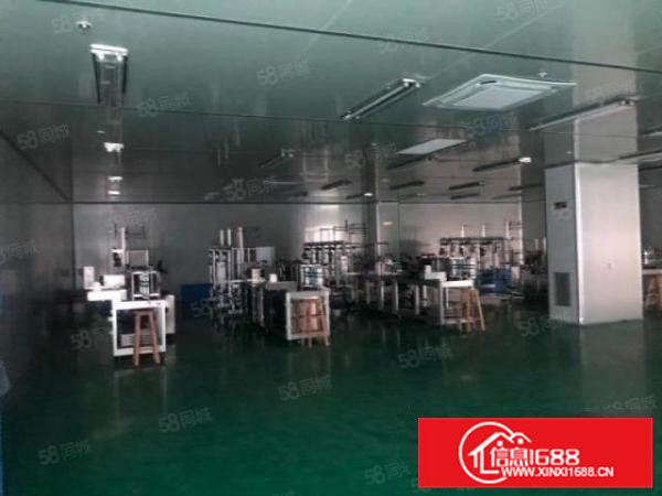 桥头新出AAA级无尘车间，全新装修，中央空调，水电齐全